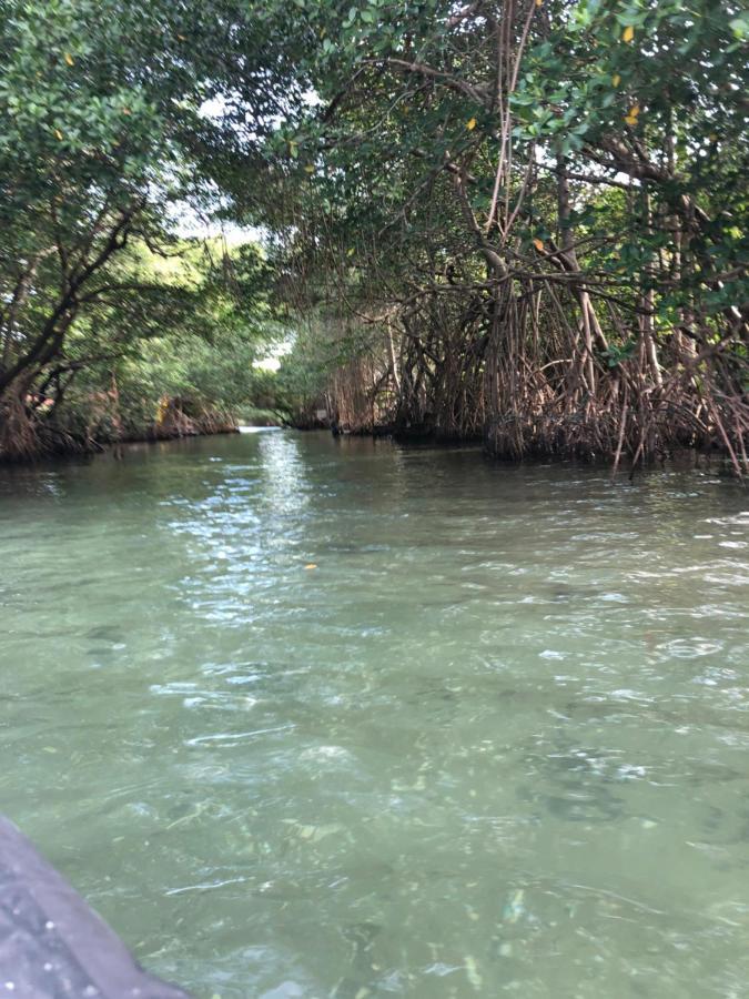 Paraiso Na Ilha Da Gigoia Rio de Janeiro Zewnętrze zdjęcie