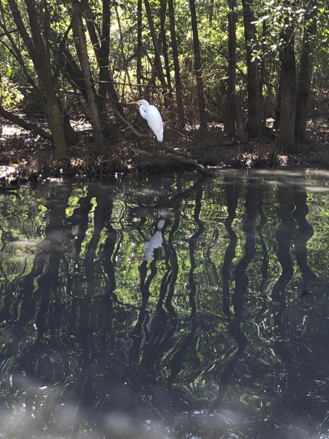 Paraiso Na Ilha Da Gigoia Rio de Janeiro Zewnętrze zdjęcie