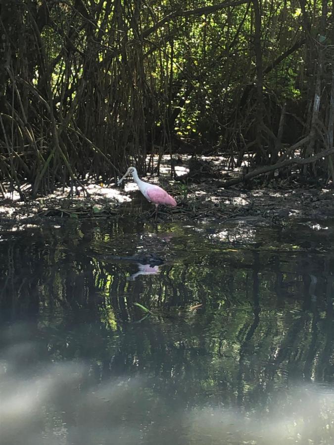 Paraiso Na Ilha Da Gigoia Rio de Janeiro Zewnętrze zdjęcie